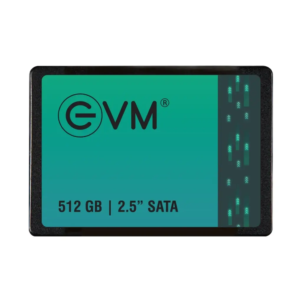 EVM 512GB SATA SSD EVM25/512GB