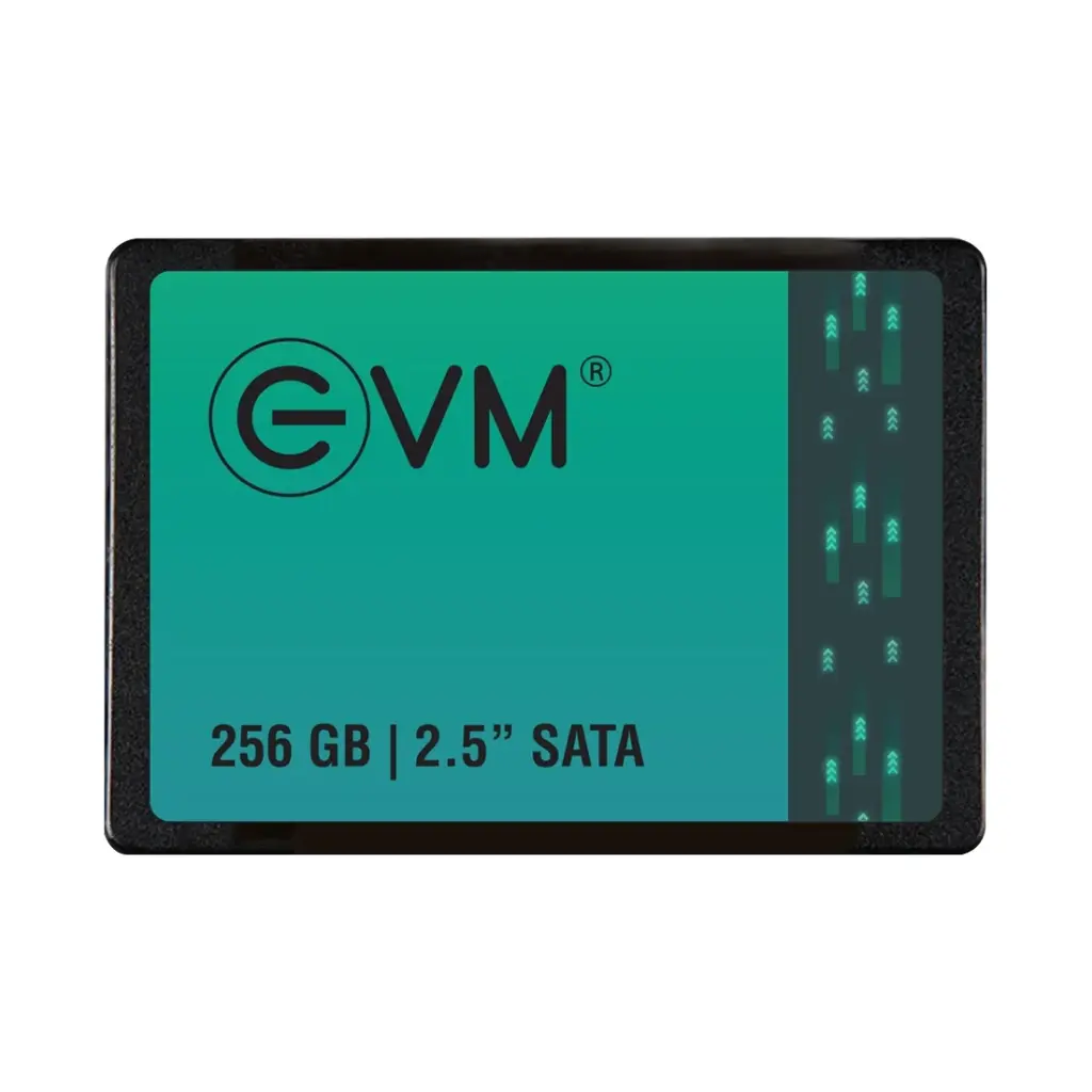 EVM 256GB SATA SSD EVM25/256GB