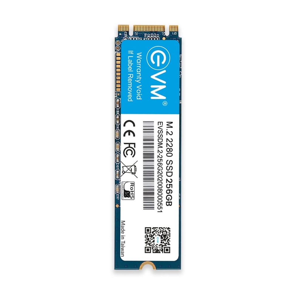 EVM 256GB M.2 SATA SSD EVMM2/256GB