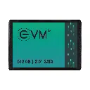 EVM SSD SATA 512GB EVM25/512GB