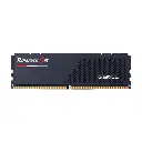 GSkill DDR5 Ripjaws S5 16GB 5600MHz F5-5600J3636C16GX1-RS5K